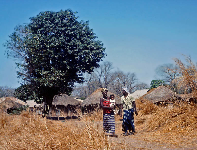 Gambia