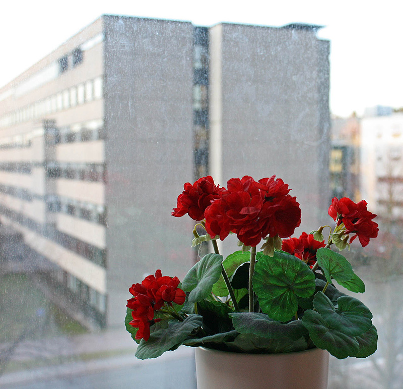 Göteborg