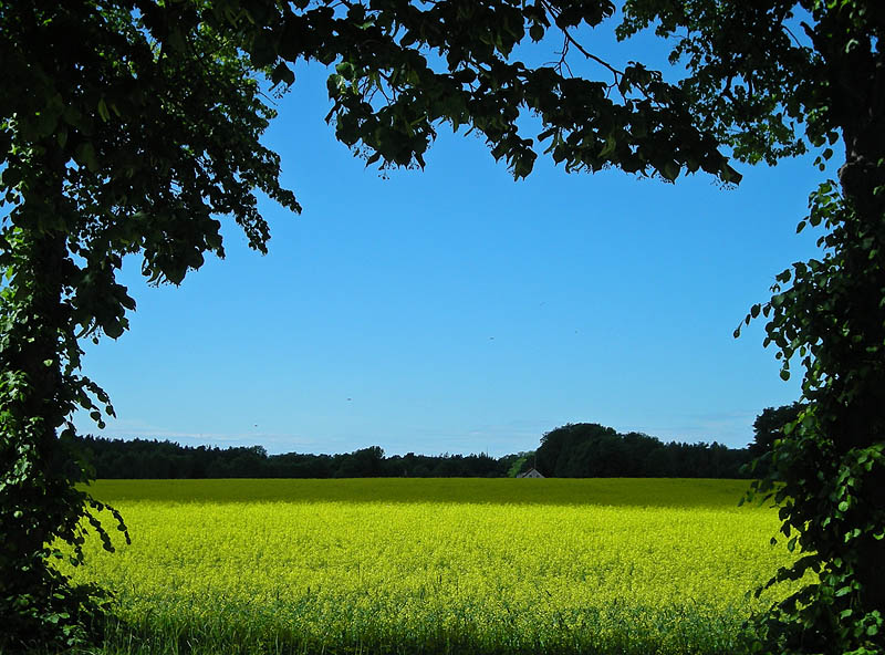Gotland