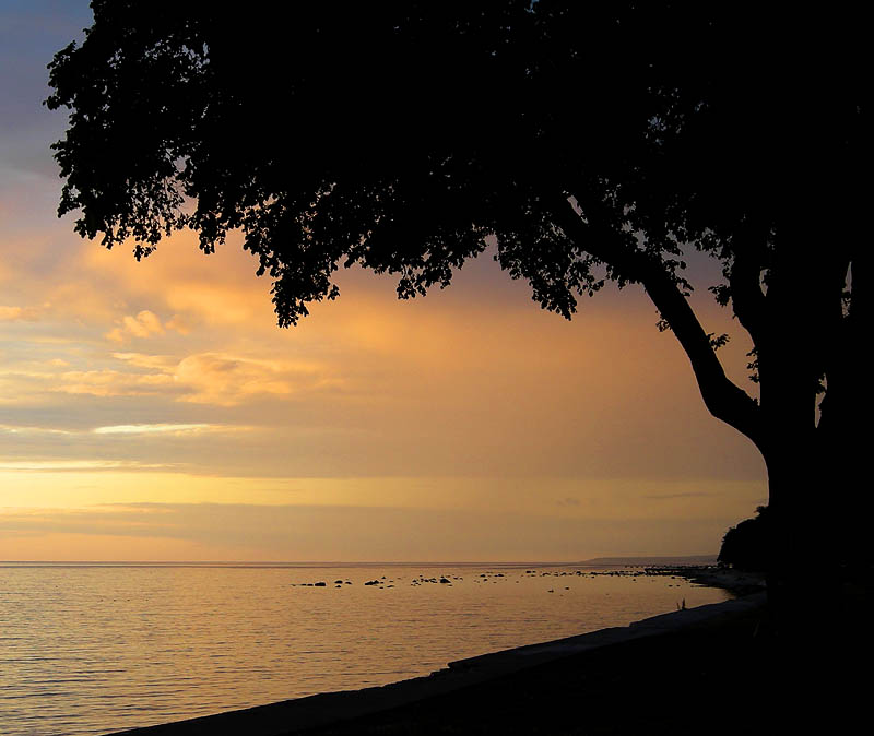 Gotland
