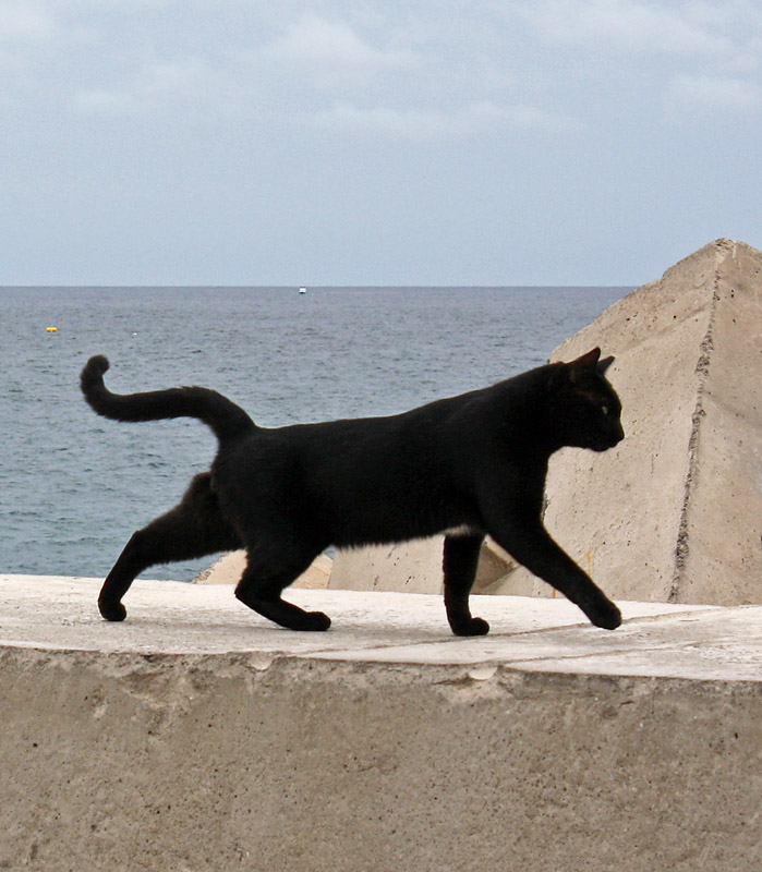 Gran Canaria