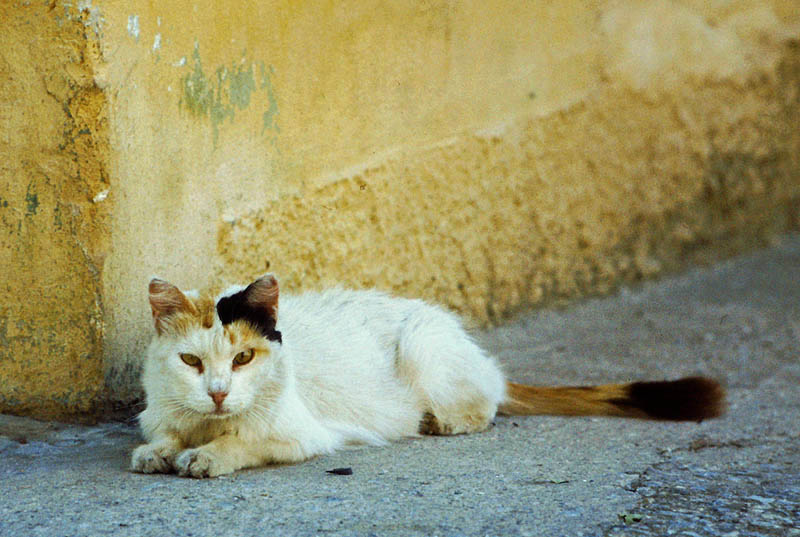 Thessaloniki