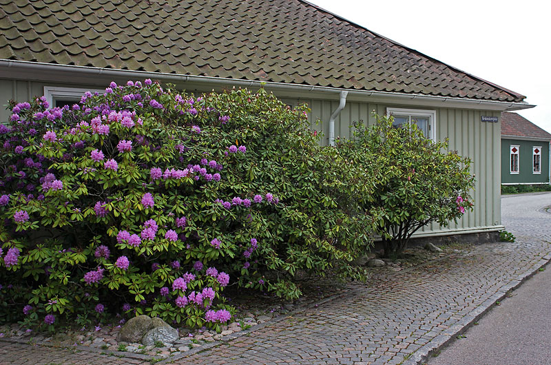 Falkenberg