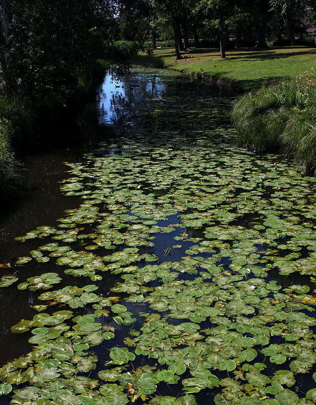 Kungsbacka