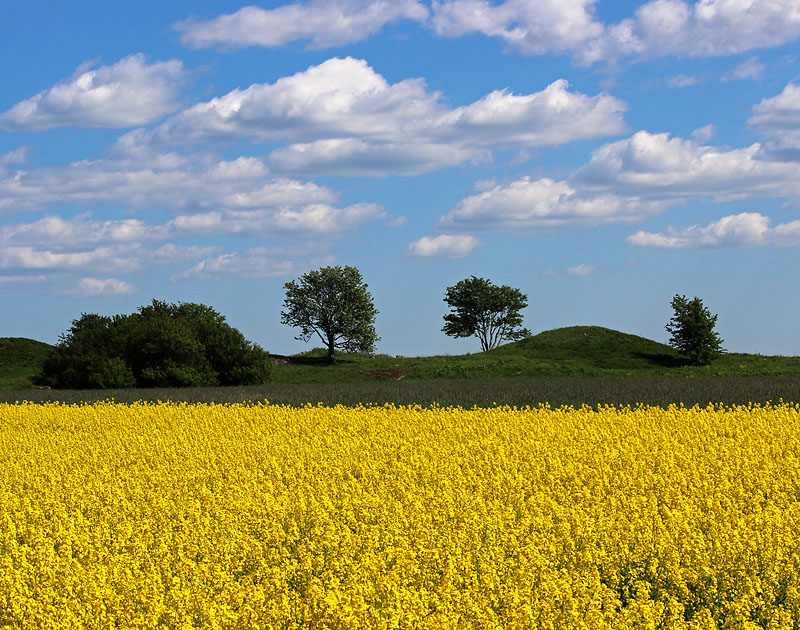 Laholm