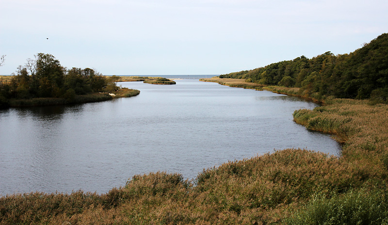 Lagaoset