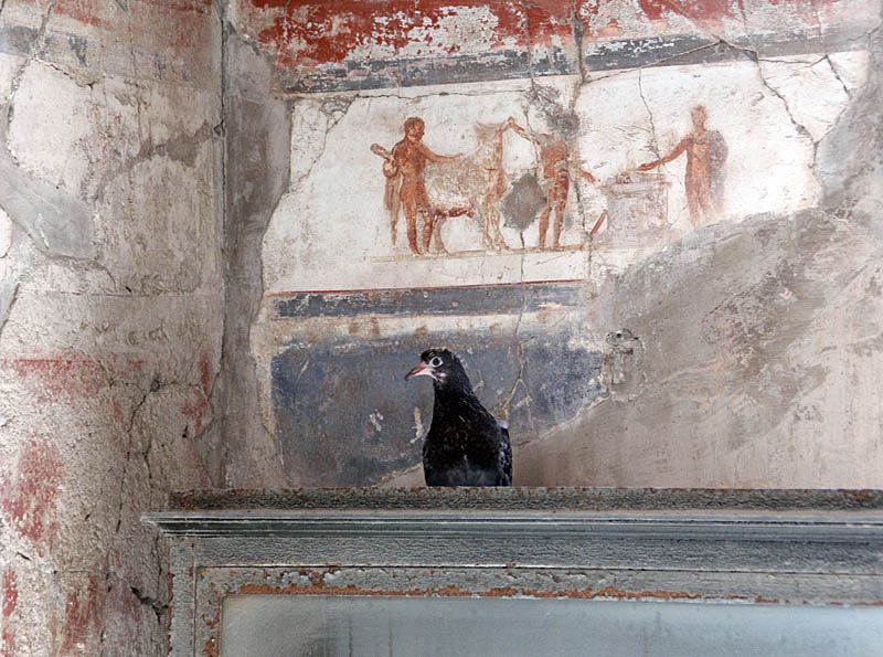 Herculaneum