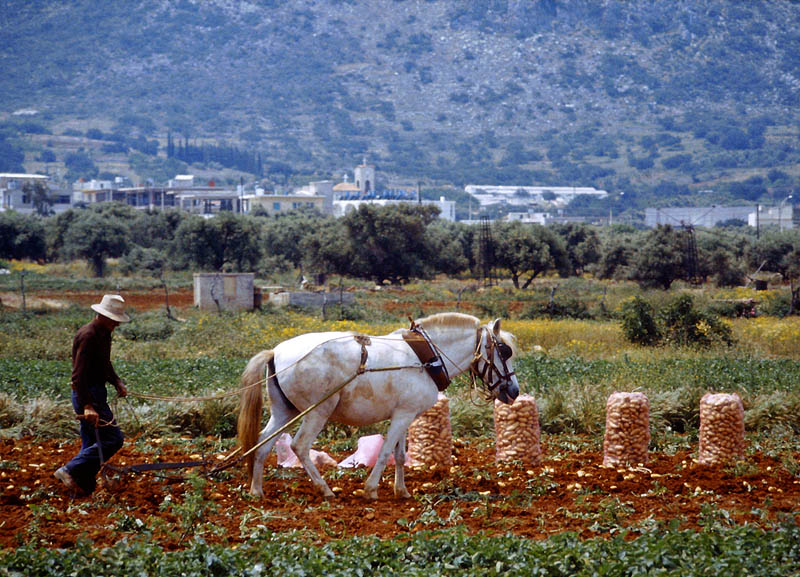 Kreta