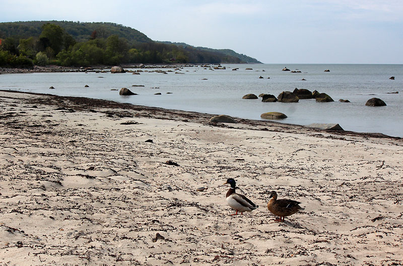 Båstad