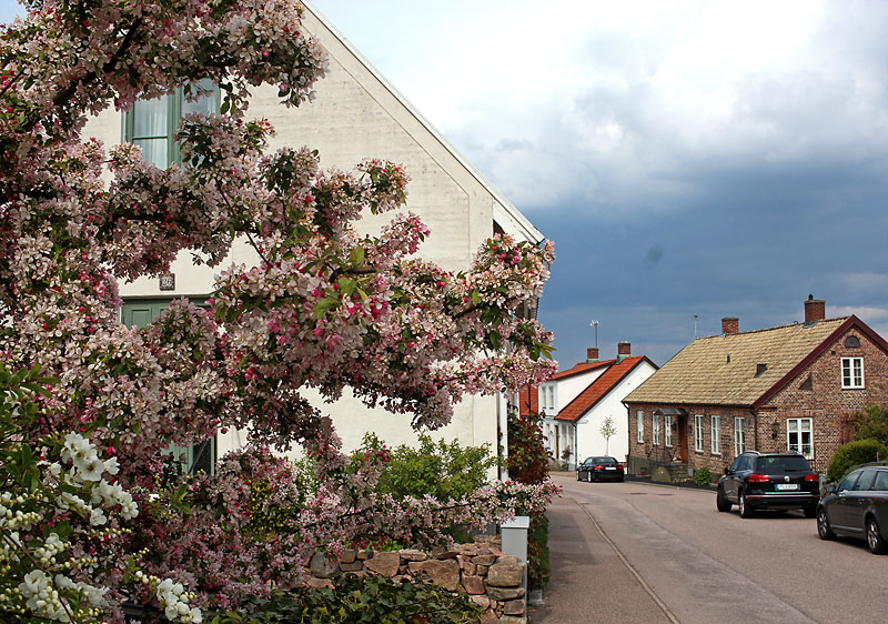 Båstad