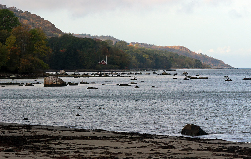 Båstad