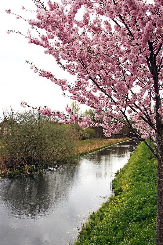 Kristianstad