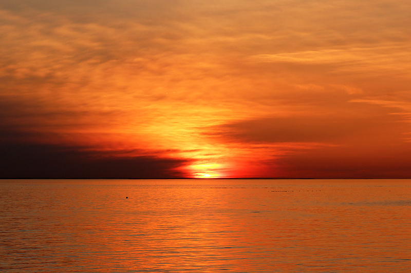 Västra hamnen