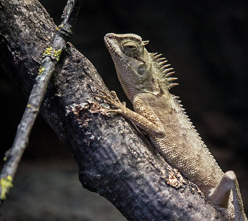 Malmö museum - akvariet
