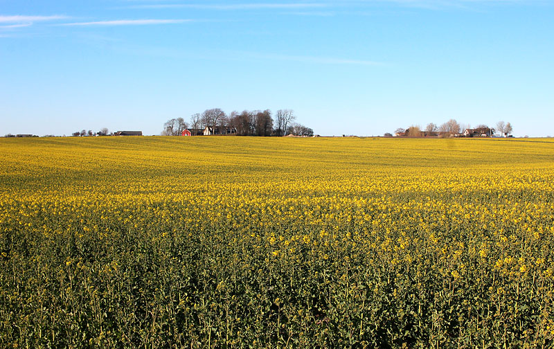 Örenäs