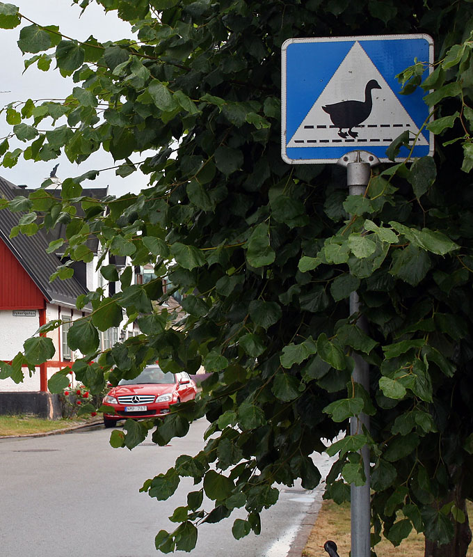 Skanör