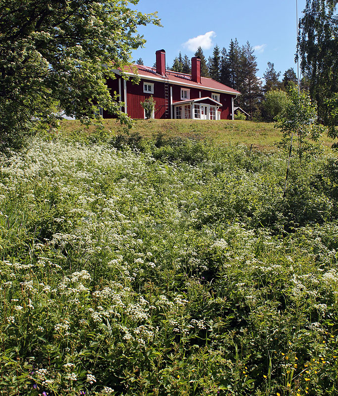 Skellefteå