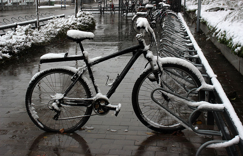 Skellefteå