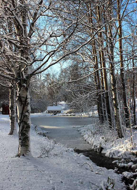 Skellefteå