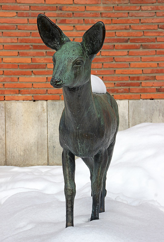 Skellefteå