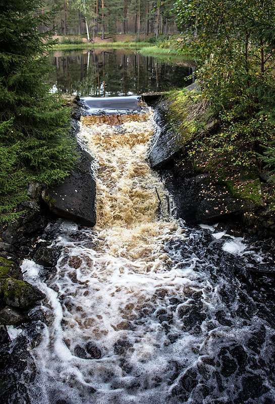 Gammelsågen, Finnträsk