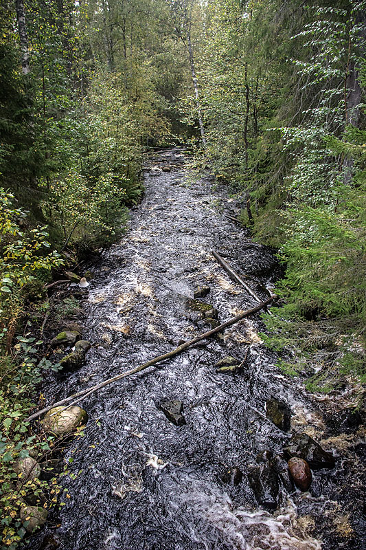 Gammelsågen, Finnträsk