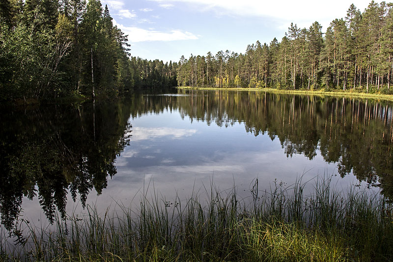 Gammelsågen, Finnträsk