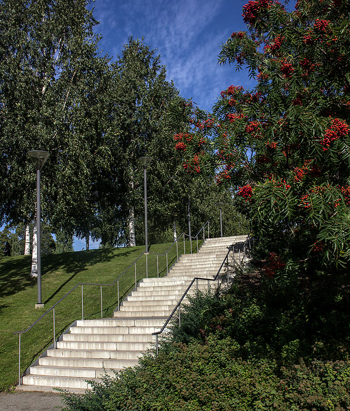 Skellefteå