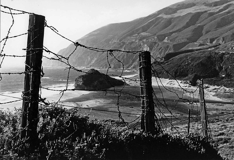 Vid Highway One