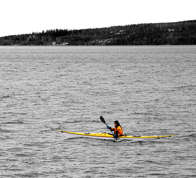 Sälsten