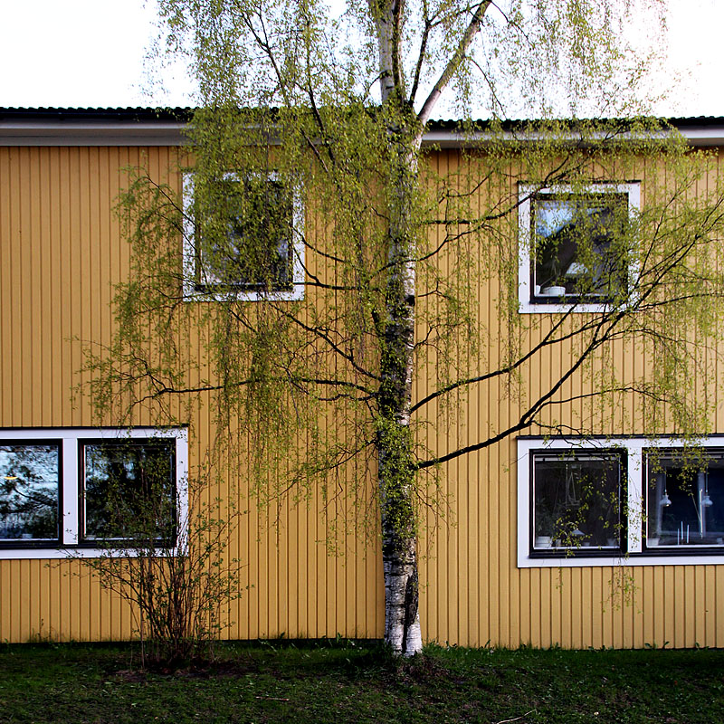 Skeppar Karls gränd