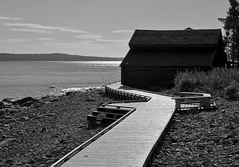 Sälsten