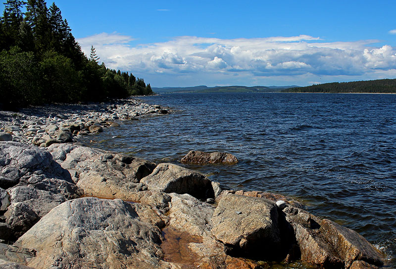 Sälsten