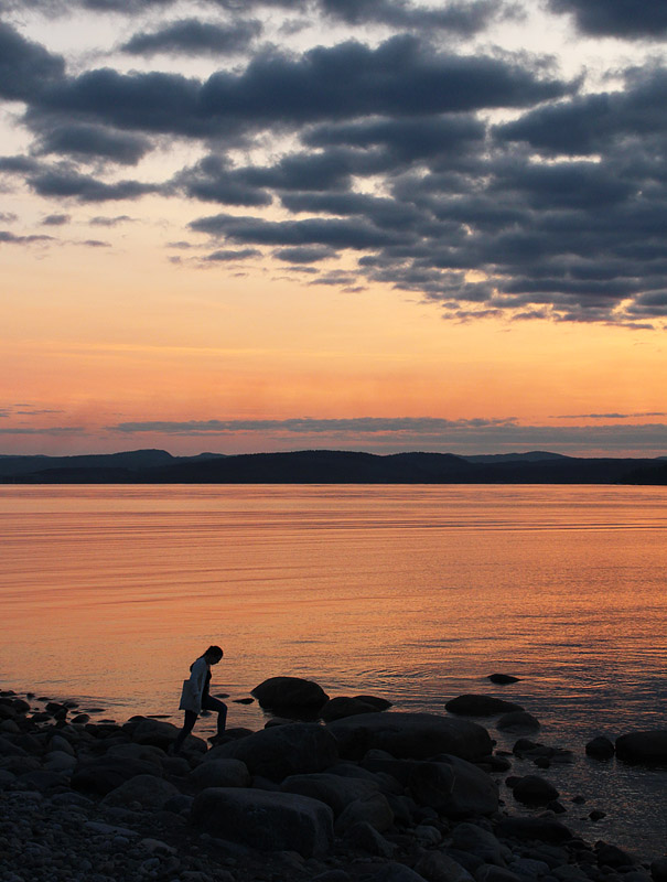 Sälsten