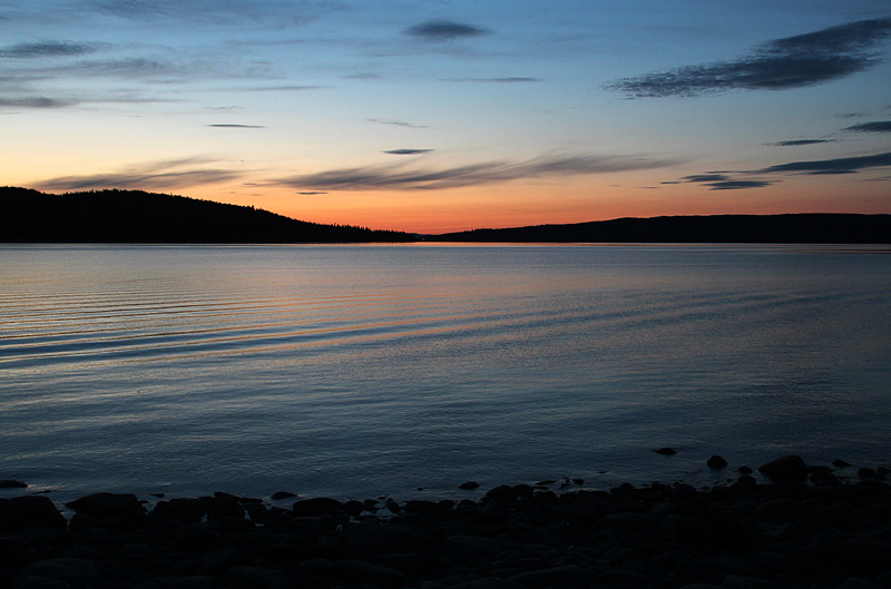 Sälsten