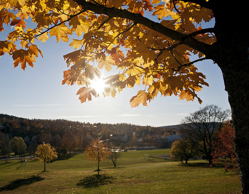 Vid Landsarkivet