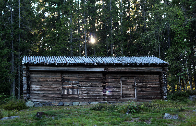 Murberget