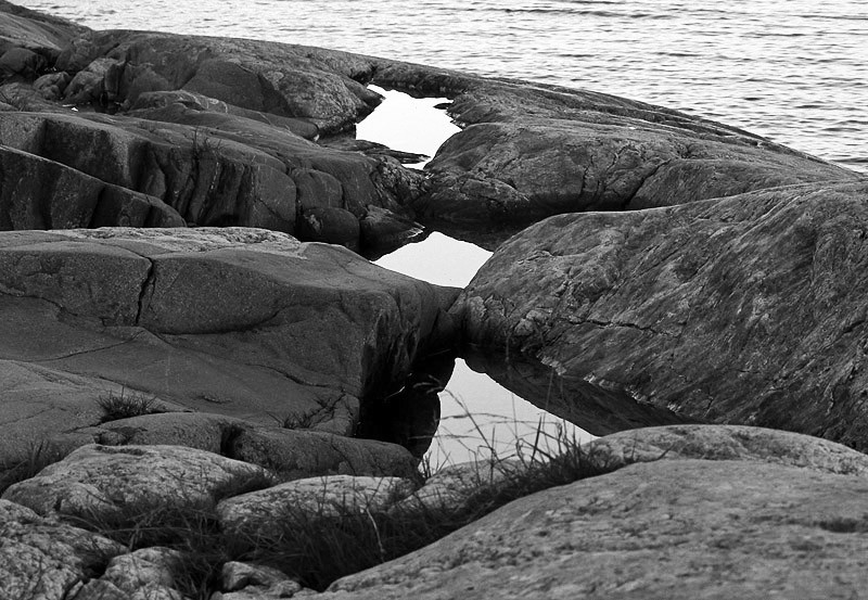 Sälsten