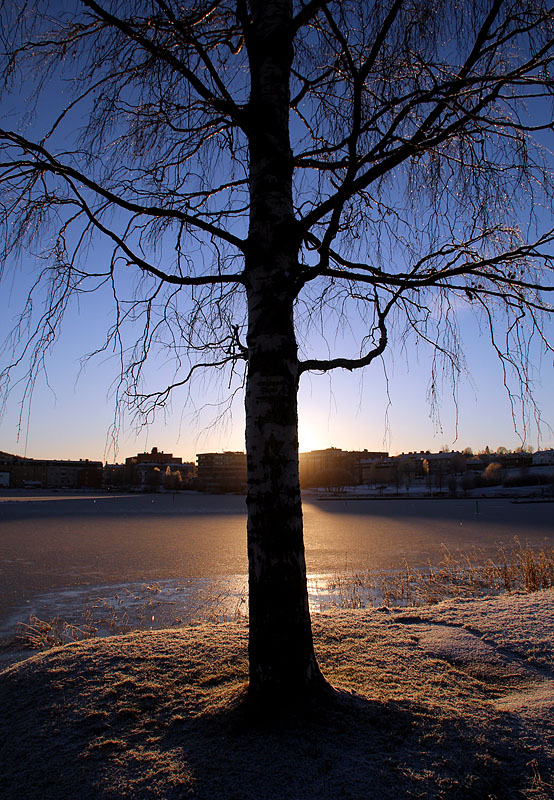 Torsvik