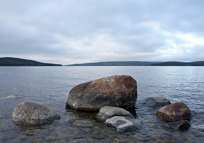 Sälsten maj