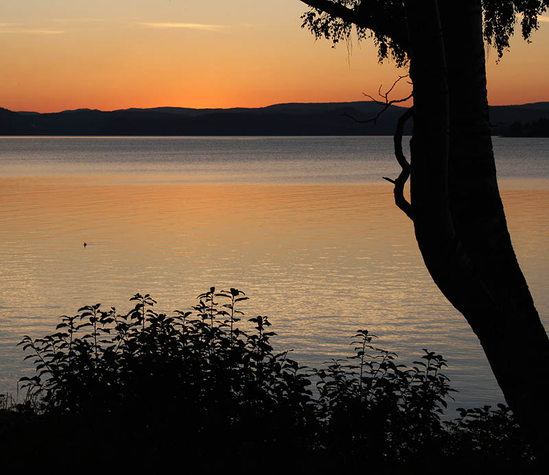 Sälsten Härnösand
