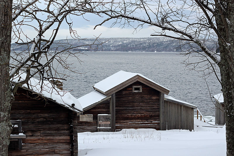Sälsten