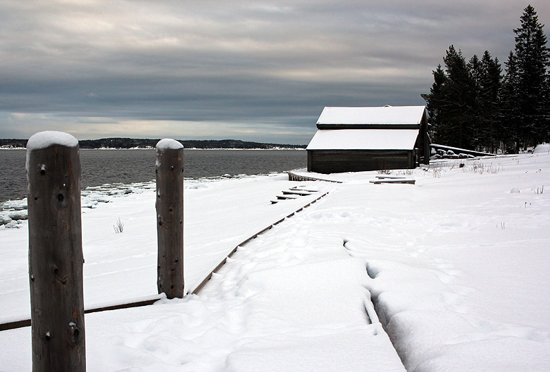 Sälsten