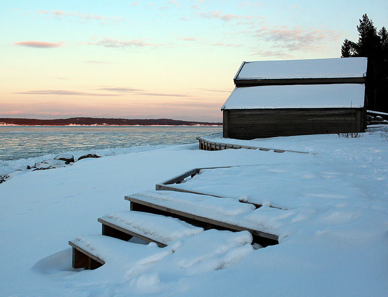 Sälsten februari 2016