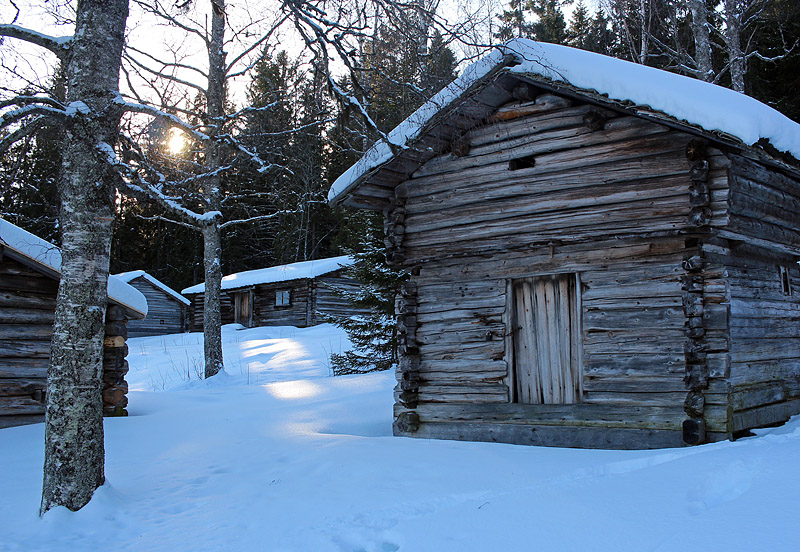 Murberget