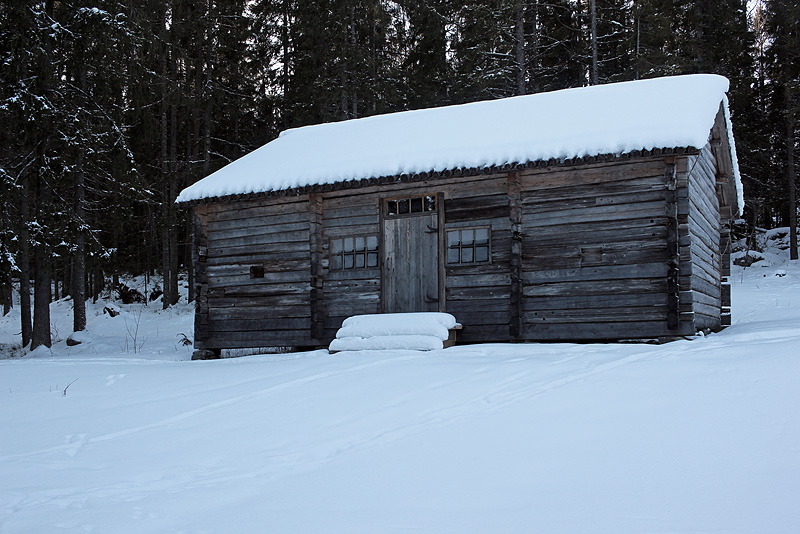 Murberget