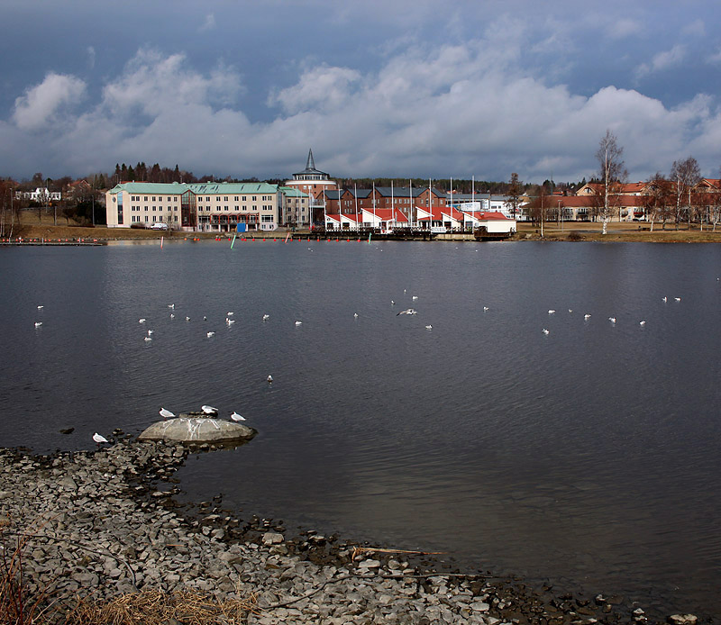 Nattviken