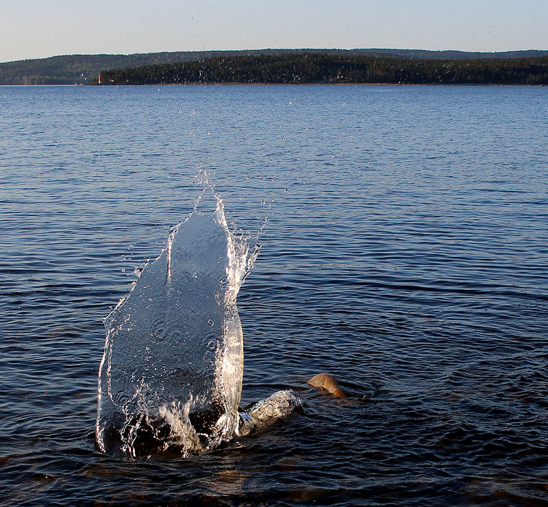 Sälsten