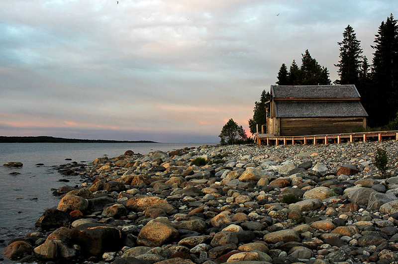 Sälsten
