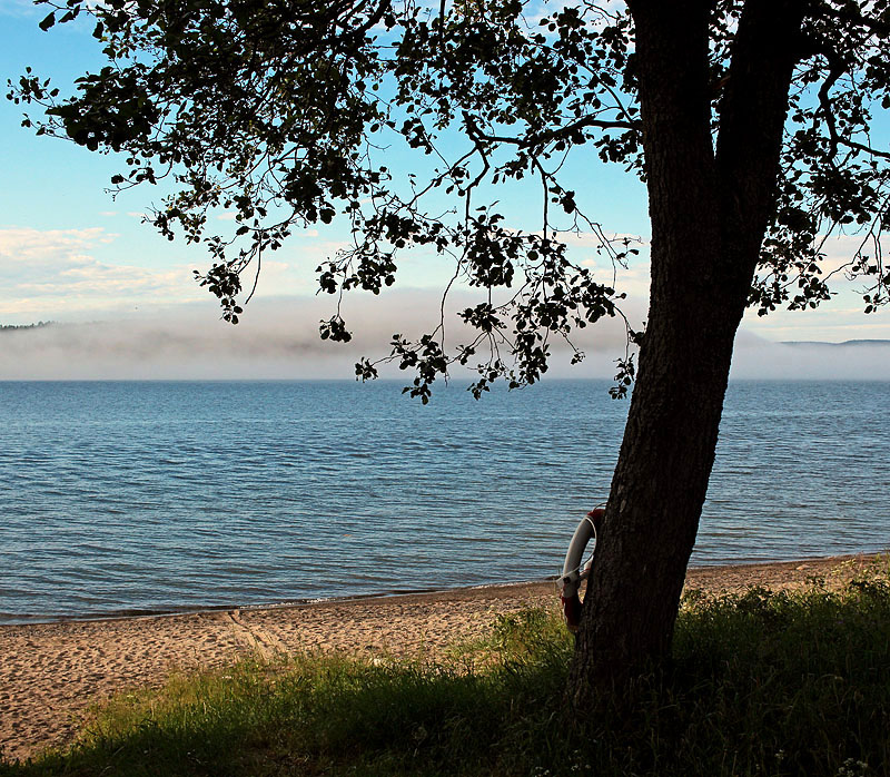 Sälsten